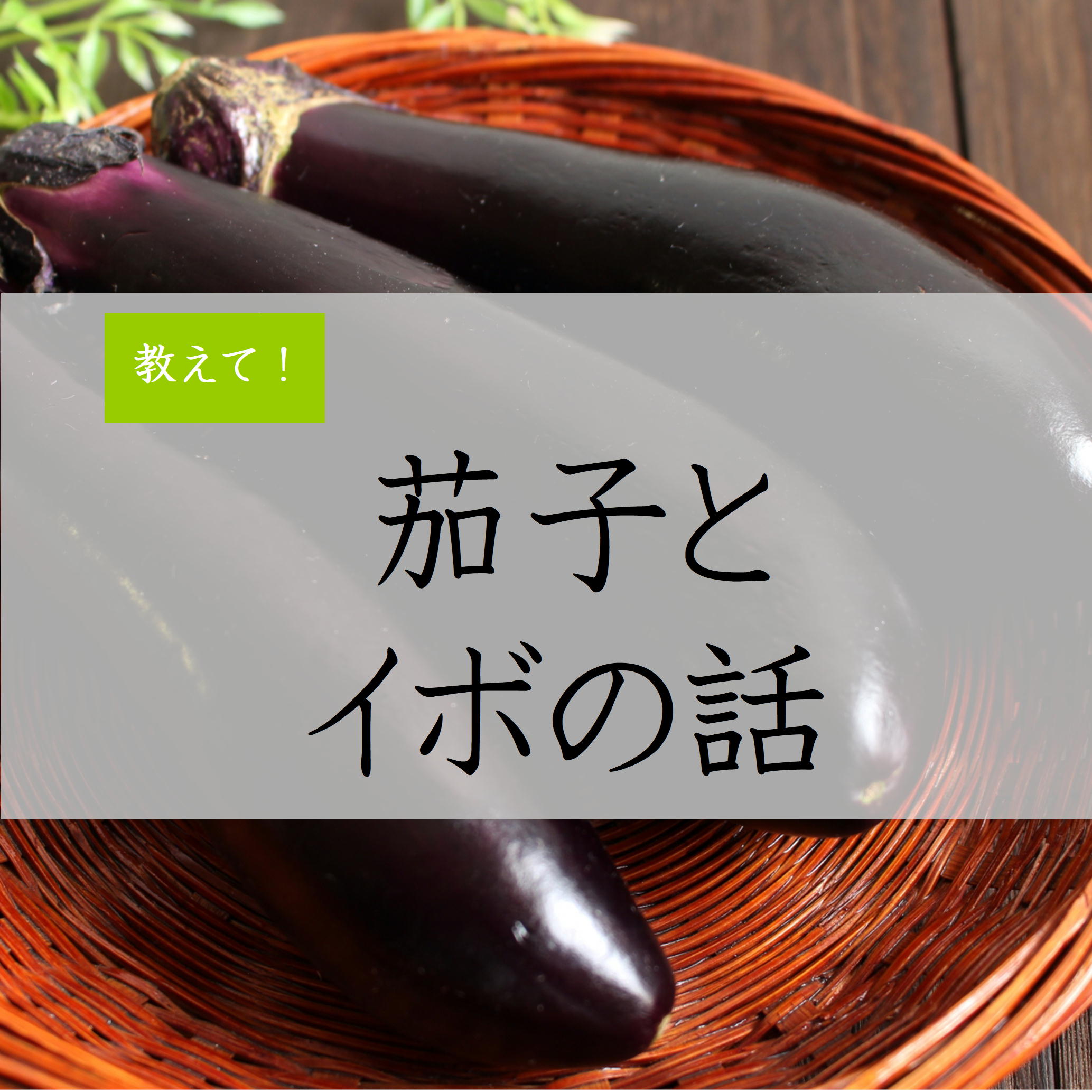 茄子はイボに効く