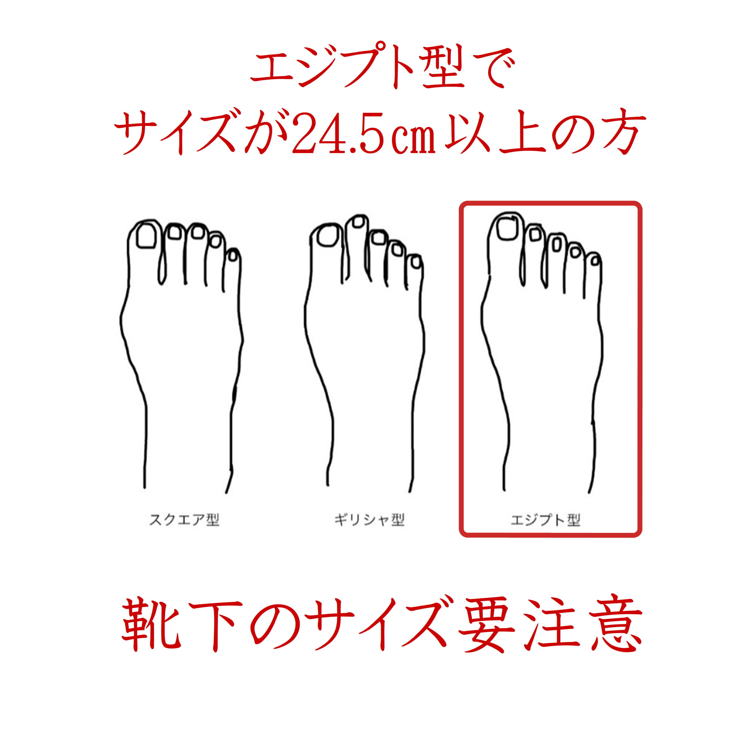 エジプト型